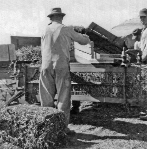 One Dirty Job: Baling Hay and Threshing Peanuts